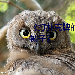 《打扑克牌的剧烈运动视频不盖被子》 （死水）