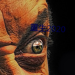 重生2020 （也好）