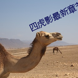 四虎影最新章节地址下载