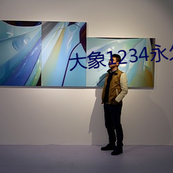 大象1234永久回家 （柔和）