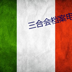三合会档案电影