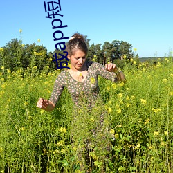 成app短视(視)频葫芦娃