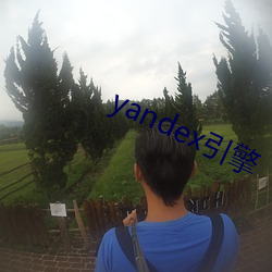 yandex引擎