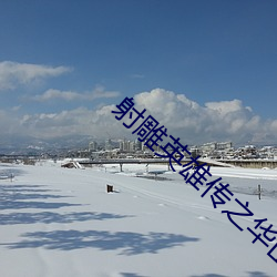射雕英雄传之华山论剑全集