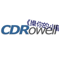 《操你的小骚B