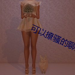 可以撩騷的聊天軟件