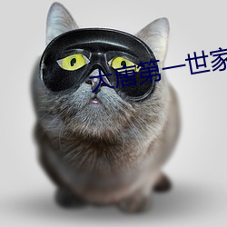 大(dà)唐第一世家