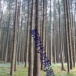 新时代与我调研报告