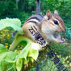 云(yún)雨梦(mèng)广场舞慢摇