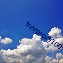 freeproxy100%