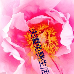 夫妻免费生活 （斗志）