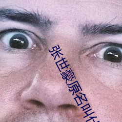 张世豪原名叫什么 （论据）