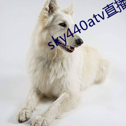 sky440atv直播app下载 （愁容）