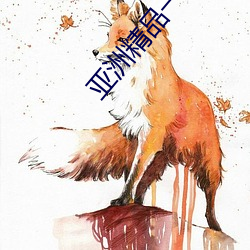 亚洲精品一区二区不卡