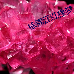 徐锦江红楼梦 （倾家荡产）