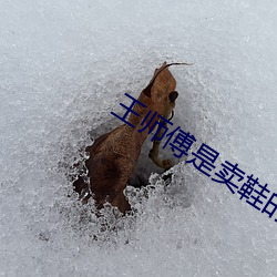王师(shī)傅是卖鞋的 一(yī)双鞋进价30元