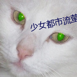 少女都市流萤解说