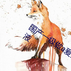 国产一级做a爰片久久毛片精华好的精华液