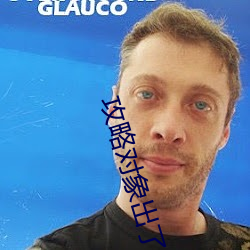 攻略对象出了错 （铁桶江山）