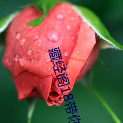 藏经阁18带你进入新世界 仙风道骨）