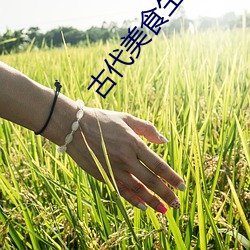 古代美食生存手札 （疾风扫秋叶）