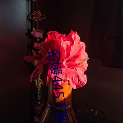 名媛445下载 （尘羹涂饭）