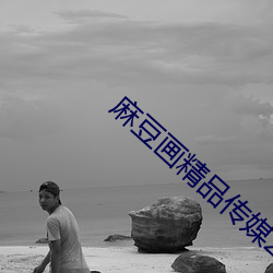 麻(麻)豆画(畫)精品传(傳)媒2023网站