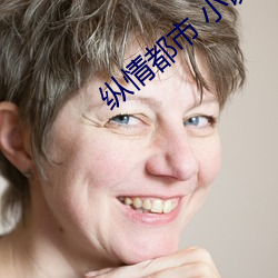 纵(縱)情都市 小说