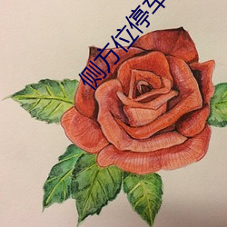 侧方(方)位停车的诀窍(竅)