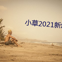 小(小)草2021新地(地)扯一二