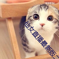 仙女直播最新版二维码