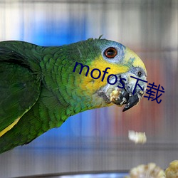 mofos下载