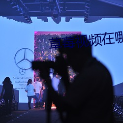 草莓视频在哪下载