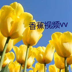 香(香)蕉视频vv