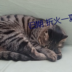 歸期 折火一夏