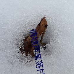 情缠芦苇荡村主任 （瞽言萏议）