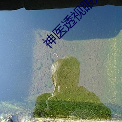 神医透视眼(眼)赌石叶深