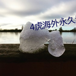 4虎海外永久域站免费