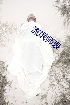 流氓师表