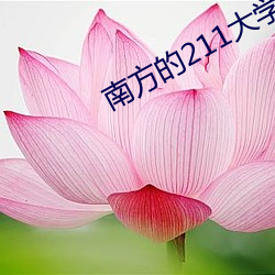 南方的211大学有哪些 （离经叛道）