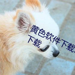 黄(黃)色软件下载(載)3.0.3每(每)天无限(限)次(次)华(華)为版下(下)载