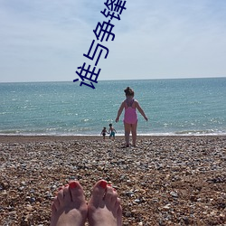 谁(shuí)与(yǔ)争锋电视剧全集在(zài)线观