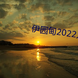 ()԰2022()()