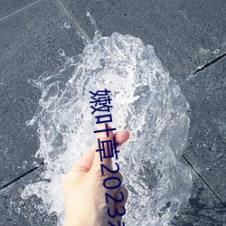 嫩叶草2023永(永)久(久)免费
