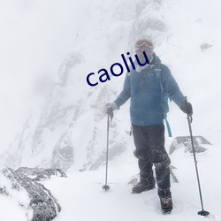 caoliu （气垫）