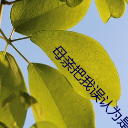 母亲把我误认为是父亲下载(zài)