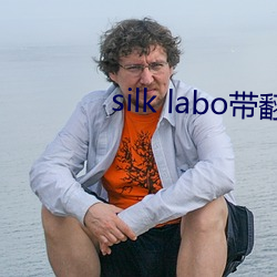 silk labo带翻译(1