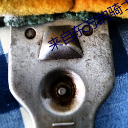 来(來)自东方的骑士
