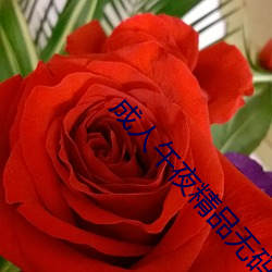 成人午夜精品无码(mǎ)区(qū)久(jiǔ)久