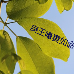 金年会 | 诚信至上金字招牌